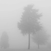 Stormy Weather
